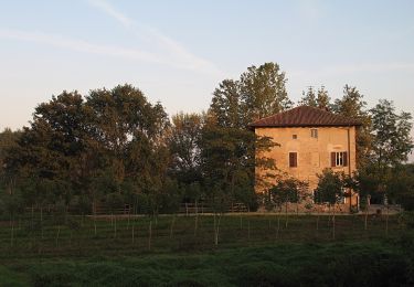 Tocht Te voet Travacò Siccomario - Anello del Siccomario - Photo