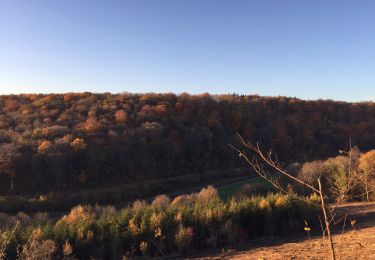 Percorso Mountainbike L'Isle-en-Rigault - Rando Lisle monplone brillons Lisle  - Photo