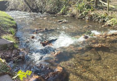 Trail Walking Caudebronde - Caudreronde - Photo