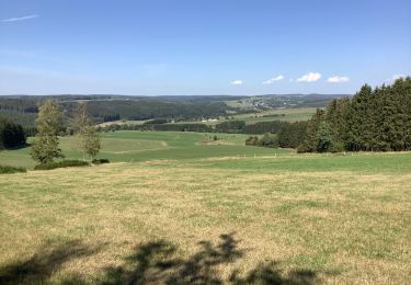 Randonnée Marche Saint-Vith - Alfersteg - incursion en Allemagne - Photo