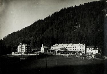 Trail On foot Prags - Braies - IT-15A - Photo