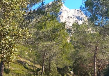 Percorso Marcia Beaurecueil - st victoire - Photo