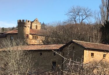 Tour Wandern Val d'Oingt - Oingt en Beaujolais (13 km - D. 405 m) - Photo