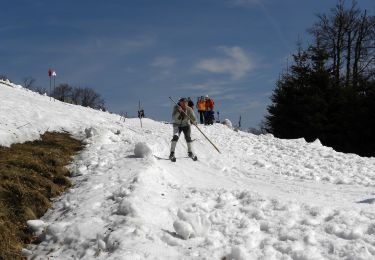 Trail On foot Gemeinde Kleinzell - Nagelland Alm - Traisner Hütte - Photo