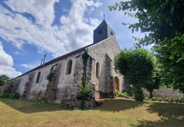 Tour Zu Fuß Mortcerf - Boucle autour de Mortcerf - Photo