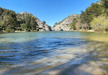 Trail Walking Saint-Rémy-de-Provence - Saint Rémy de Provence - Photo