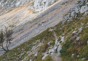 Randonnée Marche Le Gua - Prelenfrey-Pas de loeille - Photo