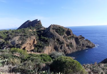 Tour Wandern La Ciotat - la Ciotat - Photo