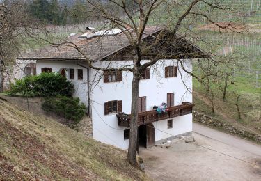 Excursión A pie Tisens - Tesimo - Wanderweg 6 - Photo