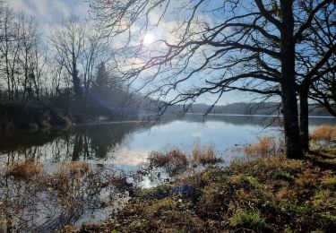 Excursión Senderismo Tour-en-Sologne - tour en sologne - Photo