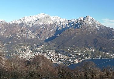 Tocht Te voet Magreglio - Sentiero del Tivano - Photo