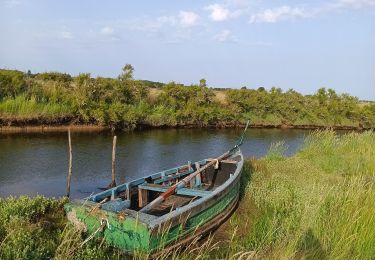 Tour Wandern Les Sables-d'Olonne - Marais d'Olonne - Photo