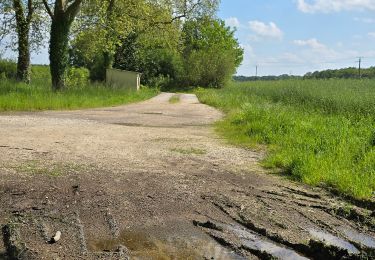 Tocht Stappen Lignières - Lignières - Autour de Rocheux - Photo