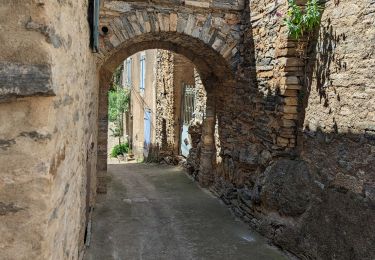 Trail Walking Vieussan - Vieussan Tour du Pin - Photo