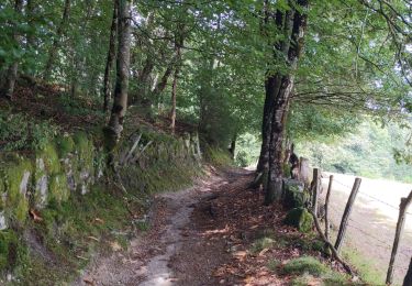 Randonnée Marche Estaing - Compostelle / Chemin du Puy : de Estaing à Espeyhrac - Photo