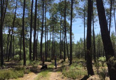 Trail Walking Saugnacq-et-Muret - Balade Lili  - Photo