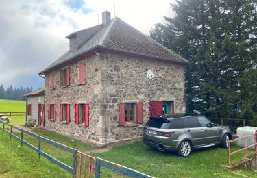 Tour Wandern Luttenbach-près-Munster - Randonnée autour du Petit Ballon - Photo