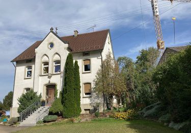 Tocht Te voet Gomadingen - Zugangsweg Ringingen - Killer Berg - Killer - Hoher Berg (Himberg) - HW1 - Photo