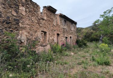 Tocht Stappen Hyères - les borelles 2 bis - Photo