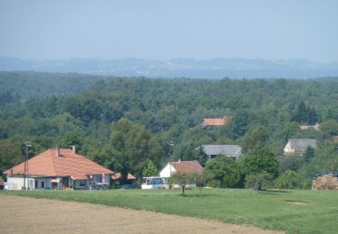 Tour Zu Fuß Kétvölgy - Réti orchideák tanösvény - Photo