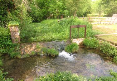 Trail Walking Salviac -   14532.43981000000 - Photo