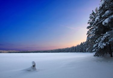 Excursión A pie Suomussalmi - Hakokosken Hujaus - Photo