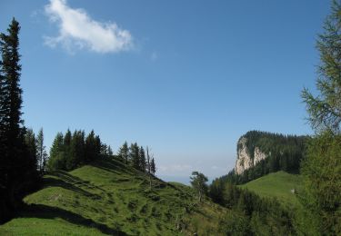Excursión A pie Fladnitz an der Teichalm - Wanderweg 13 - Photo