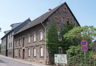 Excursión A pie Ober-Ramstadt - Ortsrundwanderweg Ober-Ramstadt 3 - Photo