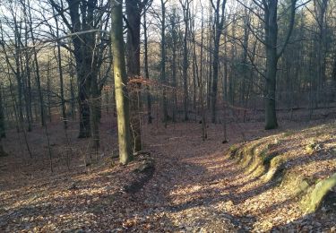 Excursión Senderismo Jalhay - la hoegne - Photo