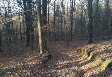 Tour Wandern Jalhay - la hoegne - Photo