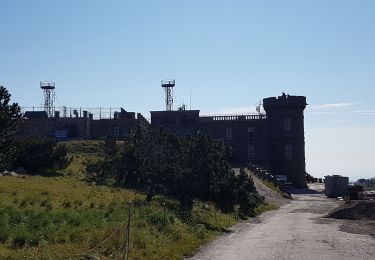 Trail Walking Val-d'Aigoual - Mont Aigoual - Cabrillac - Photo