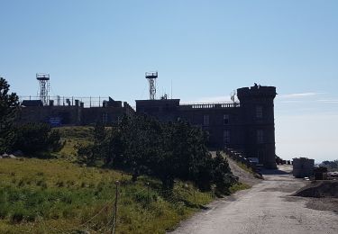 Tocht Stappen Val-d'Aigoual - Mont Aigoual - Cabrillac - Photo