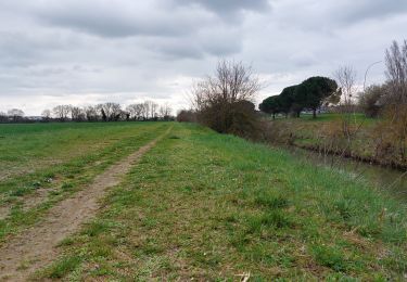 Trail Walking Saint-Jean - Projet TT22 au départ de St Jean - Photo