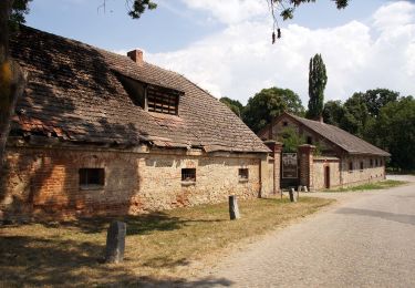 Excursión A pie Kamiennik - Nowina-Kamiennik - Photo