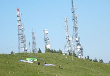Percorso A piedi Aviano - Sentiero Policreti - Photo