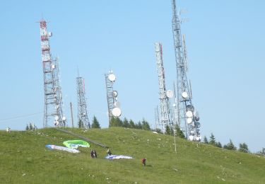 Tocht Te voet Aviano - Sentiero Policreti - Photo