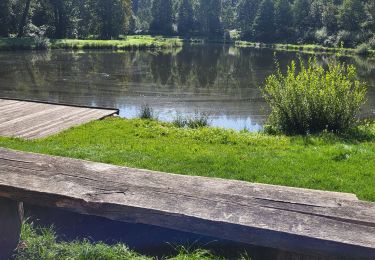 Trail Mountain bike Libin - Ballade Libin - Photo