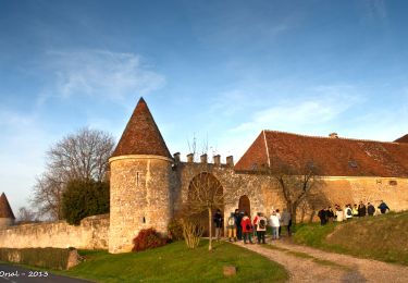 Tour Wandern Cour-Maugis sur Huisne - La Clairière de Saint-Laurent Variante 12 Km - Photo