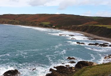 Trail Walking La Hague - Herquemoulin-Cap de la Hague  - Photo