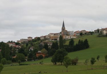 Trail On foot Saint-Christo-en-Jarez - Le sentier nature du Paradis - Photo