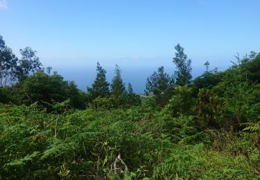 Trail Walking  - Lago de fuego - Photo