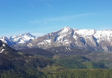 Randonnée Marche Ferrières - granquet - Photo