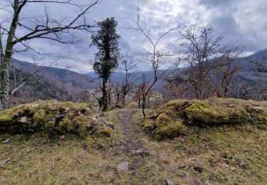 Trail Walking Kruth - chemin direct wildenstein et chateau - Photo