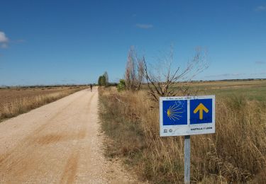 Tour Wandern Villalcázar de Sirga - Calzadilla de la Cueza - Photo