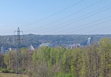 Tocht Stappen Luik - angleur gare . sart tilman via bois St Laurent.retour via bois St jean - Photo