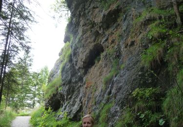 Percorso A piedi Ramsau bei Berchtesgaden - Wikiloc - Watzmanhaus - Photo