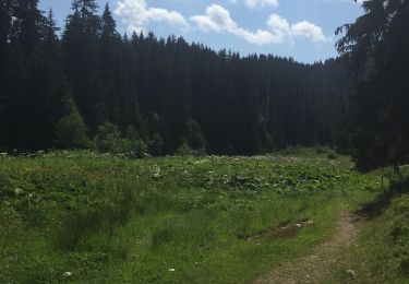 Tocht Stappen Morzine - Crêtes aborigènes - Photo