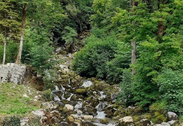 Tocht Stappen Saint-Maurice-Crillat - la frasnee - Photo