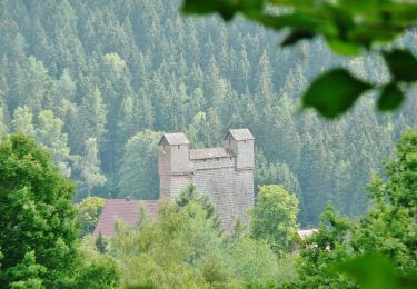 Tocht Te voet Neuweiler - Zwerenberg-Berneck - Photo