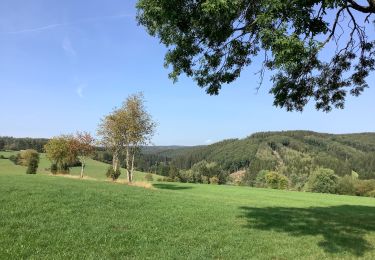 Trail Walking Amel - Herresbach Emile - Photo